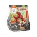 Baltus BIO Aardbei Korona bloembollen per 5