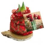 Baltus Amaryllis op houten plank rood bloembollen per 1 stuks