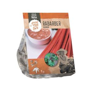 Baltus Rhubarb Rabarber bloembol per 1