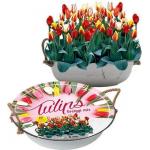 Baltus Giftbox Tulpen Greigii Mix in Teil bloembollen per 12 stuks