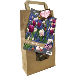 Baltus Giftbox Urban Flower Lovers Feeling Blue bloembollen per 50 stuks