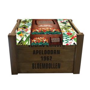 Baltus Giftbox Urban Jungle Flower Bulbs Krat L Greigii bloembollen per 12 stuks