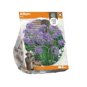 Baltus Allium Eros bloembollen per 5 stuks