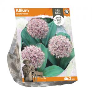 Baltus Allium Karatviense bloembollen per 3 stuks