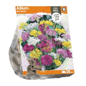 Baltus Allium Mini Mixed bloembollen per 25 stuks