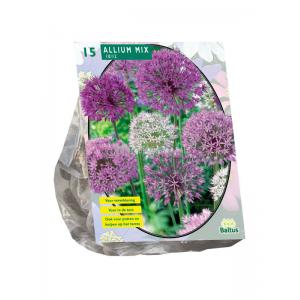 Baltus Allium Mix Paars-Wit bloembollen per 15 stuks