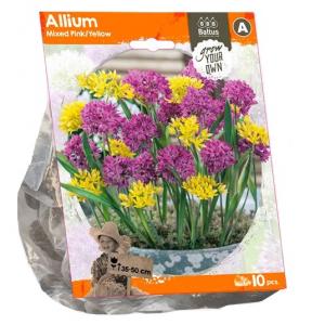 Baltus Allium Mixed Pink Yellow bloembollen per 10 stuks