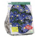 Baltus Anemone Blanda Blauw bloembollen per 100 stuks