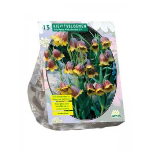Baltus Fritillaria Michailovskyi bloembollen per 15 stuks