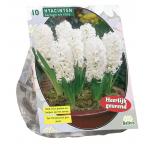 Baltus Hyacinthus Carnegie bloembollen per 10 stuks