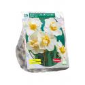Baltus Narcissus Cheerfulness bloembollen per 20 stuks