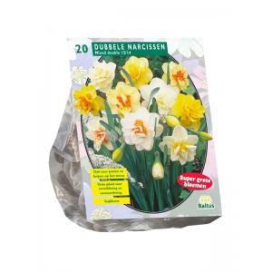 Baltus Narcissus Dubbel Mix bloembollen per 20 stuks