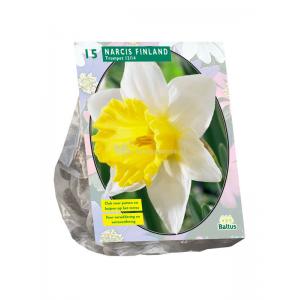 Baltus Narcissus Finland bloembollen per 15 stuks