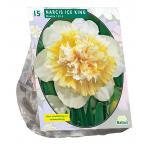 Baltus Narcissus Ice King bloembollen per 15 stuks