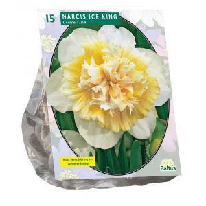 Baltus Narcissus Ice King bloembollen per 15 stuks