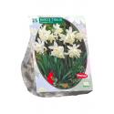 Baltus Narcissus Mini Thalia bloembollen per 25 stuks