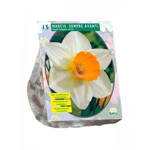 Baltus Narcissus Sempre Avanti bloembollen per 15 stuks