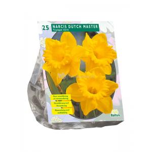 Baltus Narcissus Trompet Geel bloembollen per 25 stuks