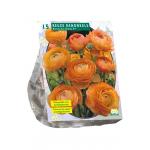 Baltus Ranunculus Oranje Ranonkel bloembollen per 15 stuks