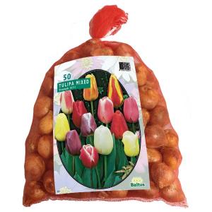 Baltus Tulipa Darwin Mix tulpen bloembollen per 50 stuks