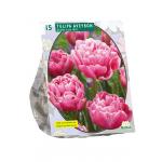 Baltus Tulipa Dubbel Laat Aveyron tulpen bloembollen per 15 stuks