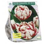 Baltus Tulipa Dubbel Laat Carnaval de Nice tulpen bloembollen per 15 stuks