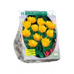 Baltus Tulipa Dubbel Laat Yellow Pompenette tulpen bloembollen per 25 stuks