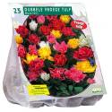 Baltus Tulipa Dubbel Mix tulpen bloembollen per 25 stuks