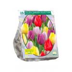 Baltus Tulipa Garden Selection tulpen bloembollen per 25 stuks