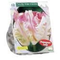 Baltus Tulipa Pink Vision Parkiet tulpen bloembollen per 12 stuks