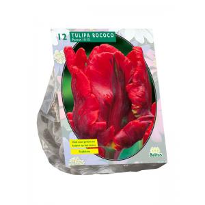 Baltus Tulipa Rococo Parrot Parkiet tulpen bloembollen per 12 stuks