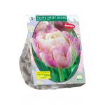 Baltus Tulipa Sweet Desire tulpen bloembollen per 5 stuks