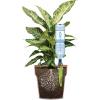 Aquaflora planten druppelaar