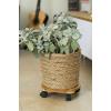 Plantentrolley BPC rond 30cm maximaal 50 kg