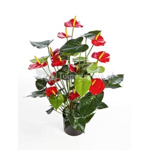 Kunstplant Anthurium red