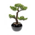 Kunstplant Bonsai pilea M in pot