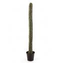 Kunstplant Cactus straight L