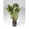 Kunstplant Calathea rufibarba wavestar M