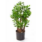 Kunstplant Crassula ovata M