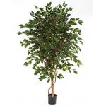 Kunstplant Ficus exotica de luxe M