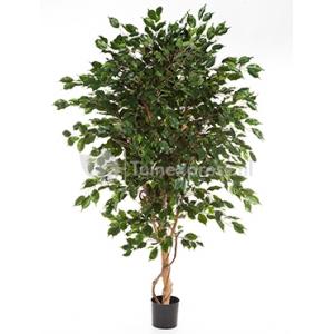 Kunstplant Ficus exotica de luxe M