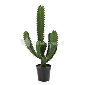 Kunstplant Finger cactus S