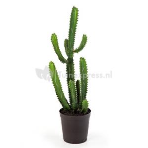Kunstplant Finger cactus M