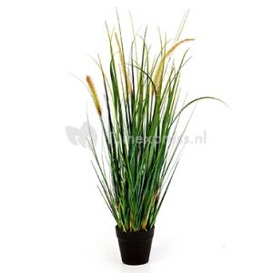 Kunstplant Foxtail wild grass M