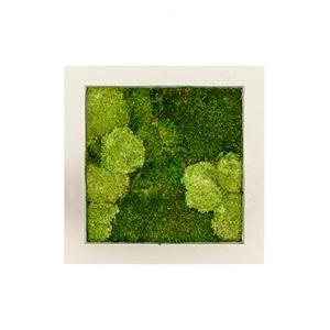 Moswand schilderij polystone vierkant naturel 50B Moswand schilderij polystone vierkant naturel 50B