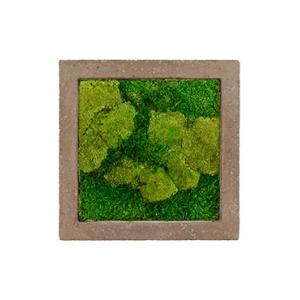 Moswand schilderij polystone vierkant rock 50A Moswand schilderij polystone vierkant rock 50A