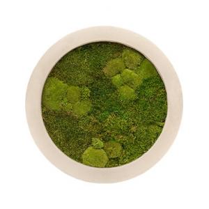 Moswand schilderij polystone rond naturel 40 Moswand schilderij polystone rond naturel 40