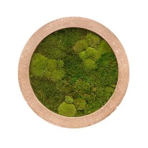 Moswand schilderij polystone rond rock 60 Moswand schilderij polystone rond rock 60