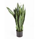 Kunstplant Sansevieria M