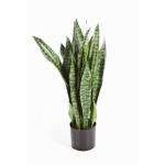 Kunstplant Sansevieria L